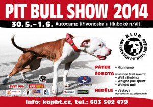 pit-bull-show-krivonoska-2014-jaro.jpg